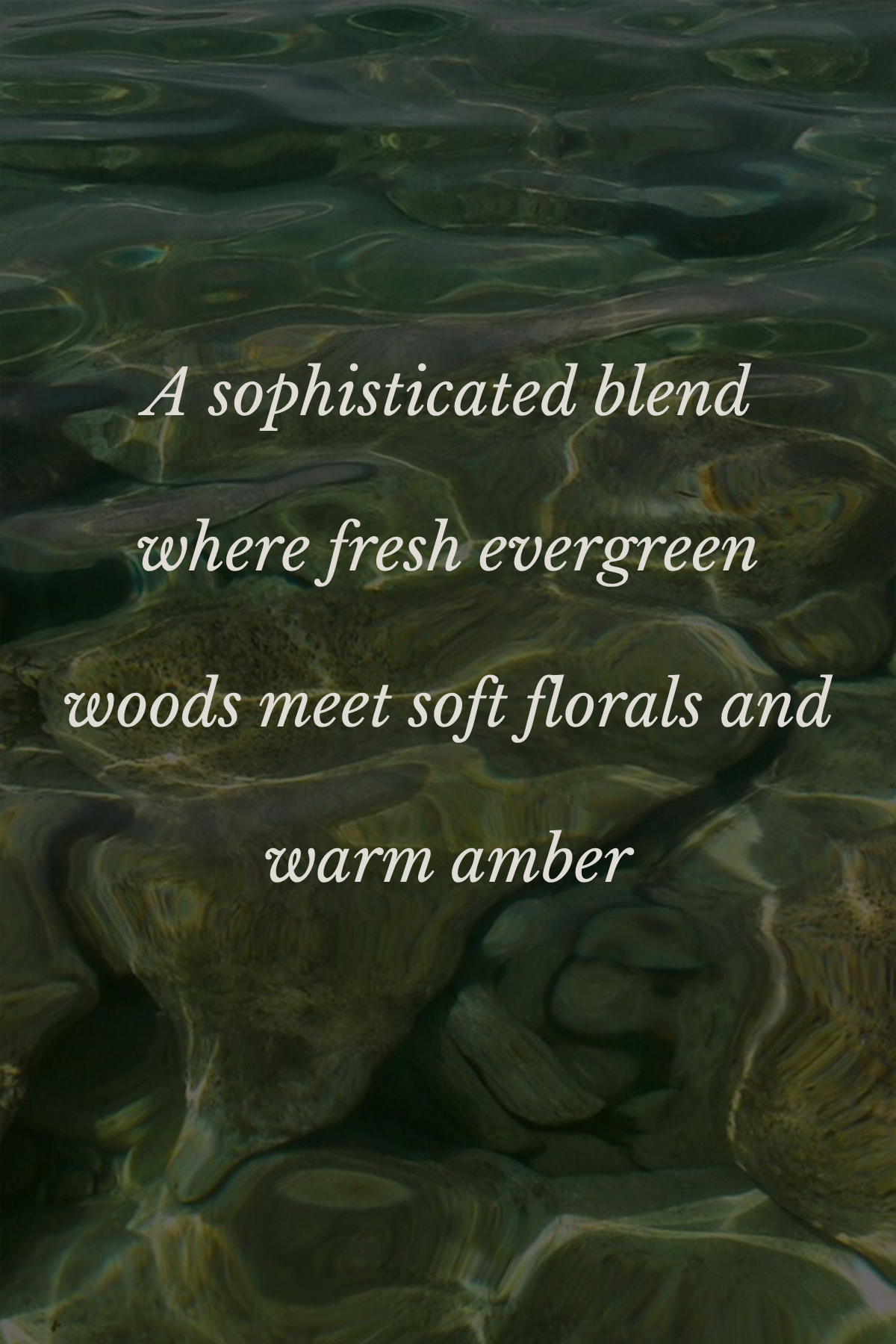 Cypress Soirée Premium Fragrance Oil
